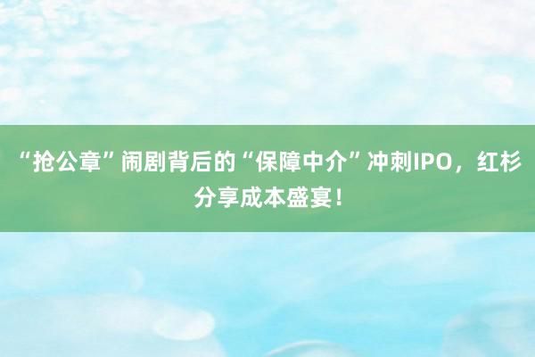 “抢公章”闹剧背后的“保障中介”冲刺IPO，红杉分享成本盛宴！